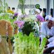 pesantren sarang
