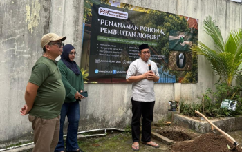 lingkungan hidup