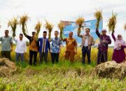 Ekosistem Beras Berbasis Pesantren Perkuat Ketahanan Pangan
