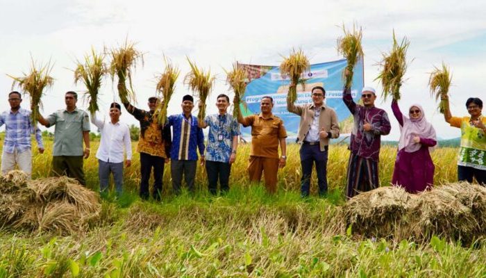Ekosistem Beras Berbasis Pesantren Perkuat Ketahanan Pangan