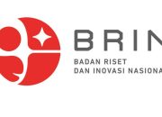 BRIN