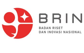 BRIN